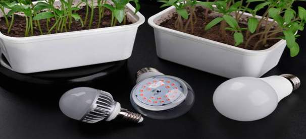 Grow Distance Plante Lampe 100W LED - La distance parfaite pour une croissance saine des plantes