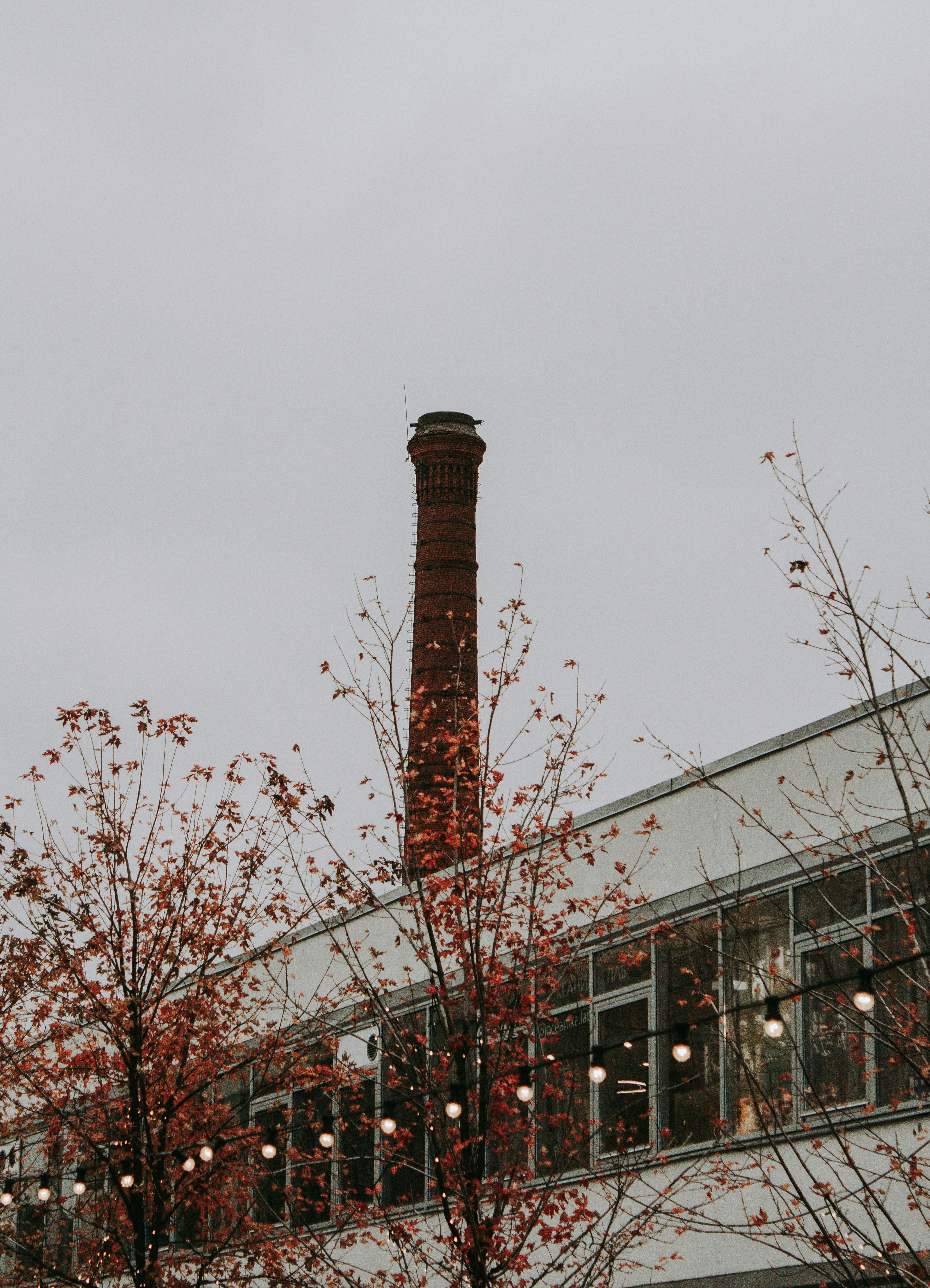 Beleuchtung „Made in Germany“: Helden, Pleiten und der aktuelle Boom