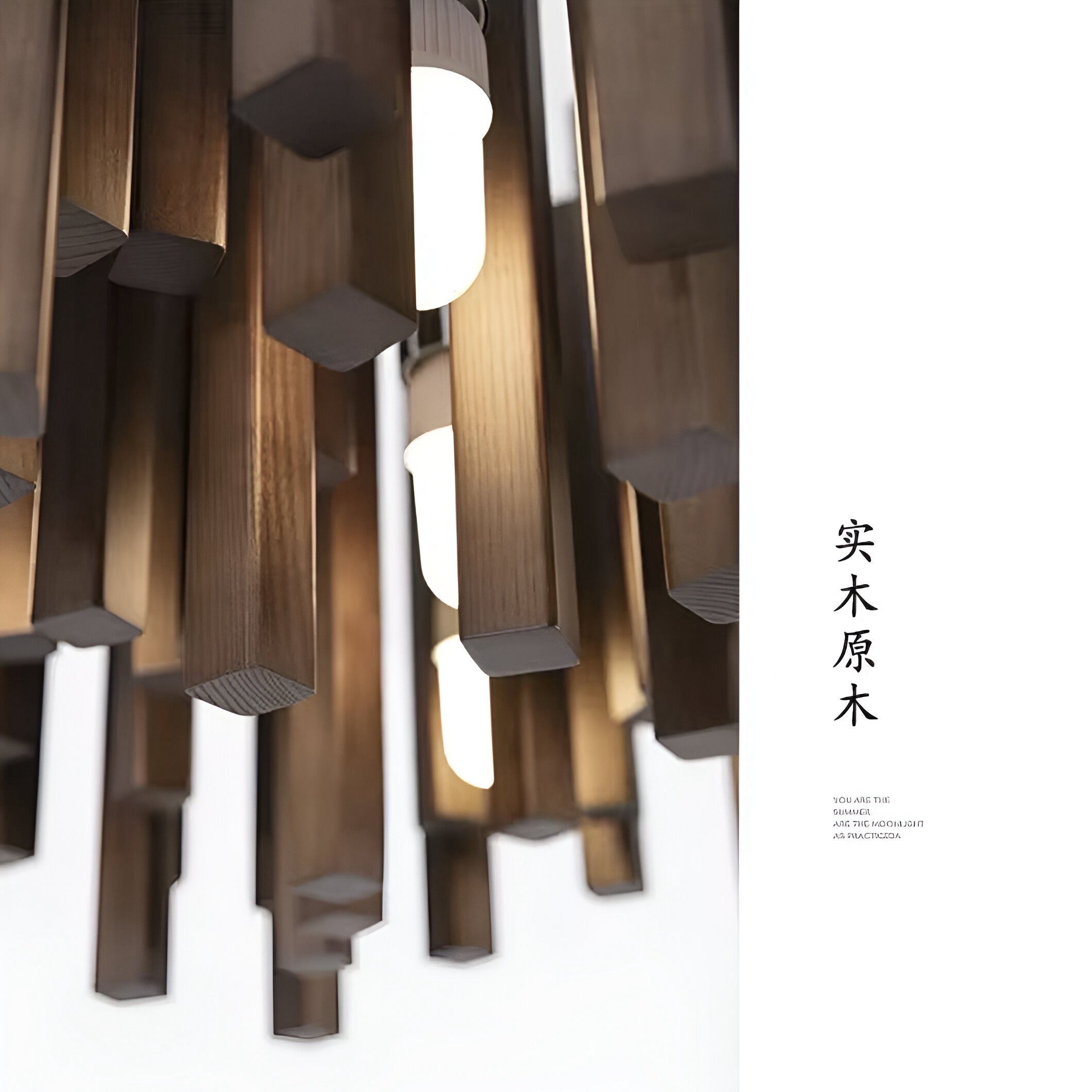 Designer pendant light Modern Yang