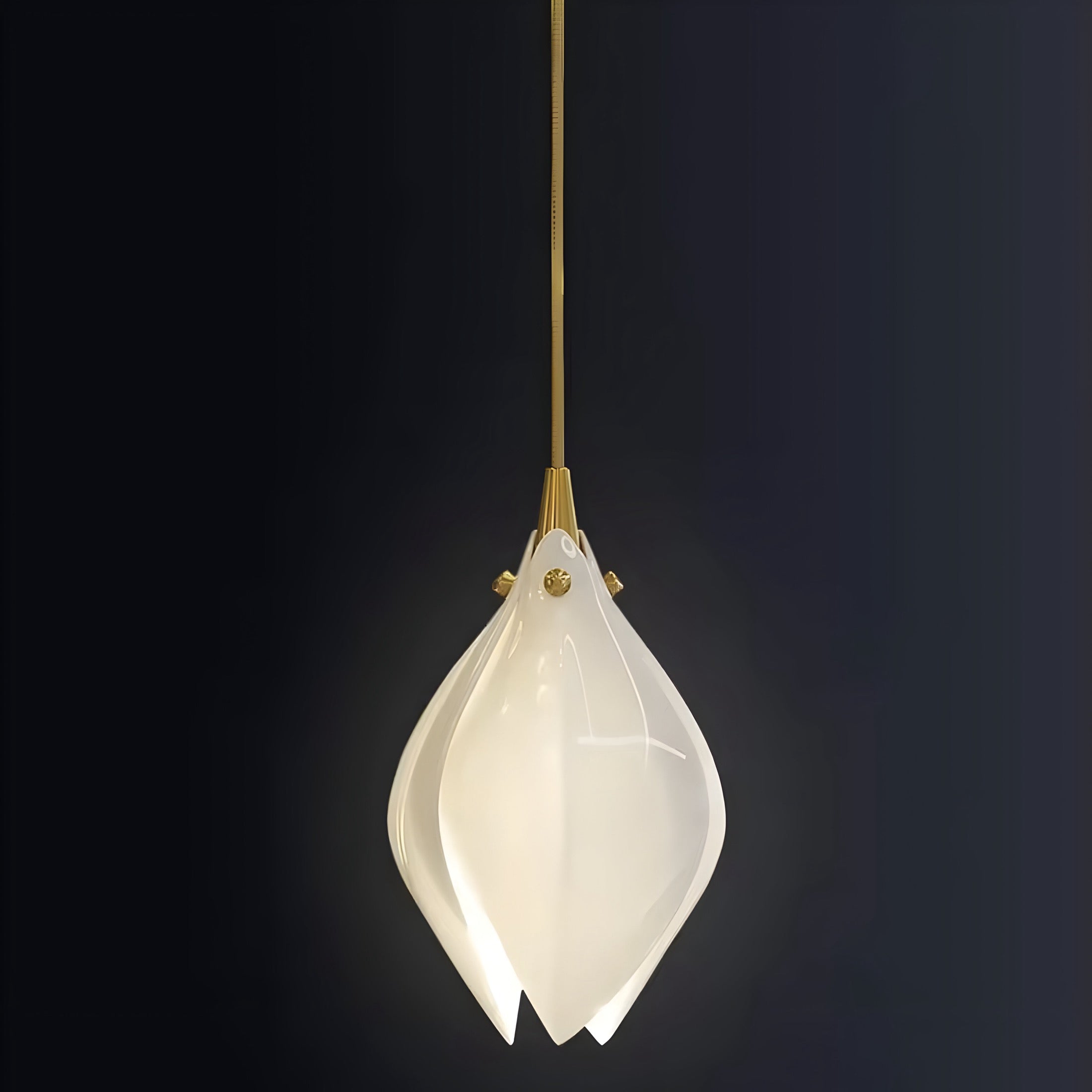 Magnolia Blanco chandelier BUYnBLUE