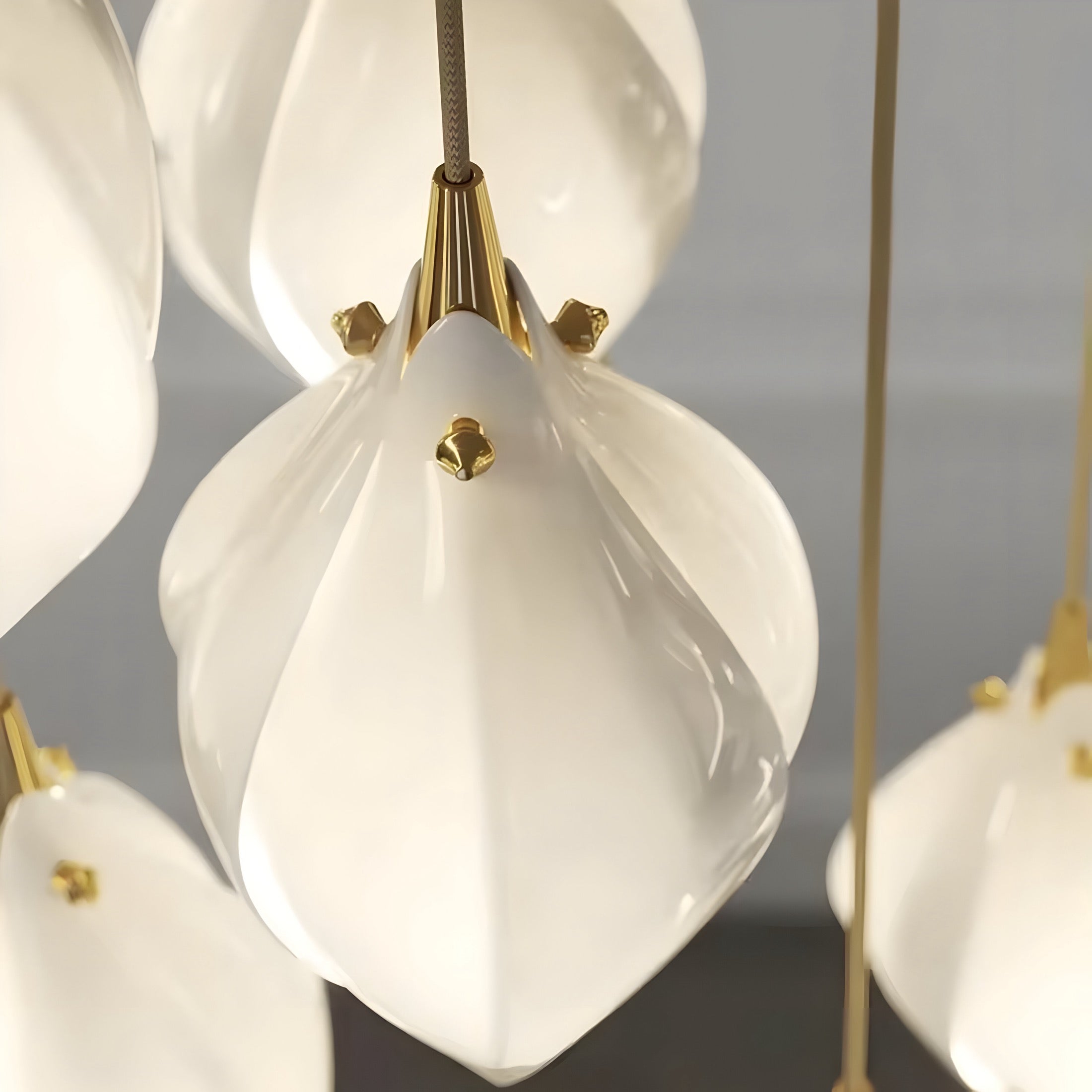 Magnolia Blanco chandelier BUYnBLUE